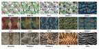 3a233a7a178d2e865a008082c463c3b4
