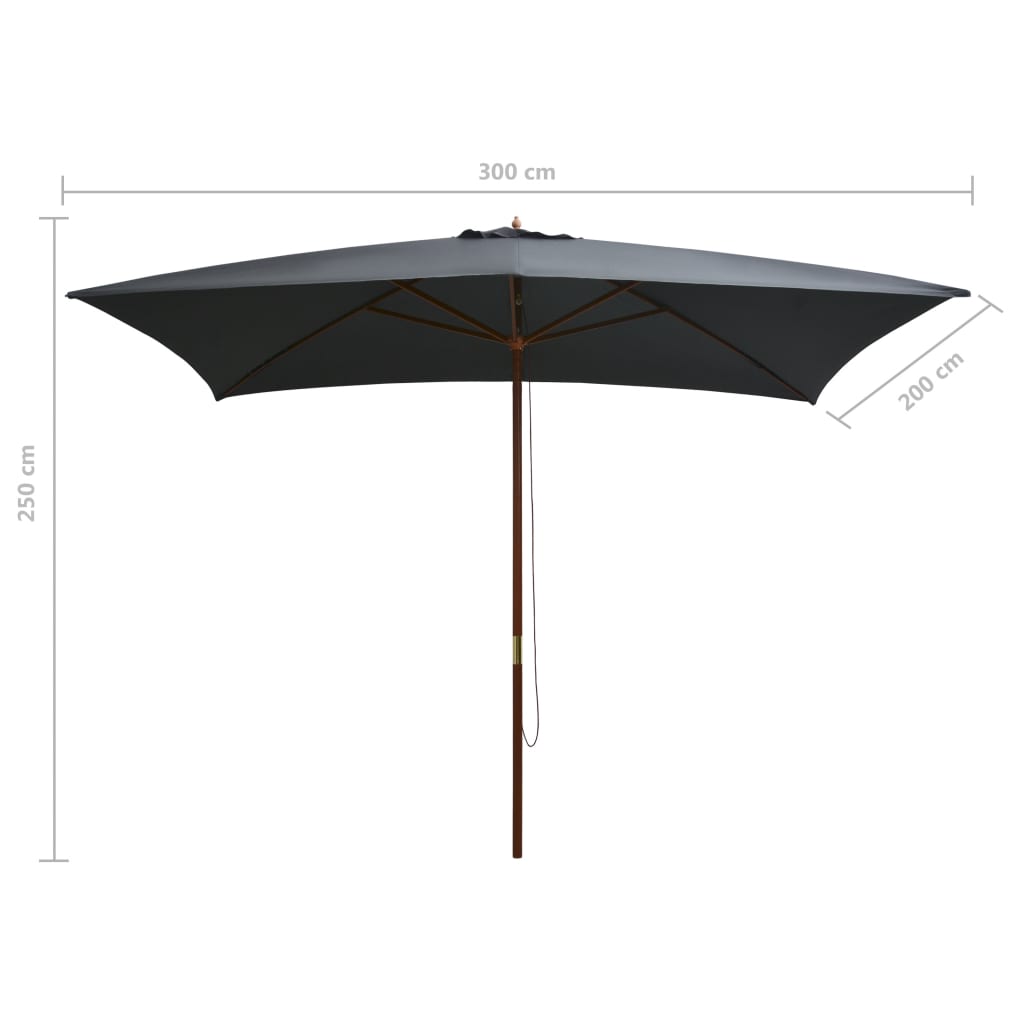 Sonnenschirm mit Holz-Mast 200x300 cm Anthrazit