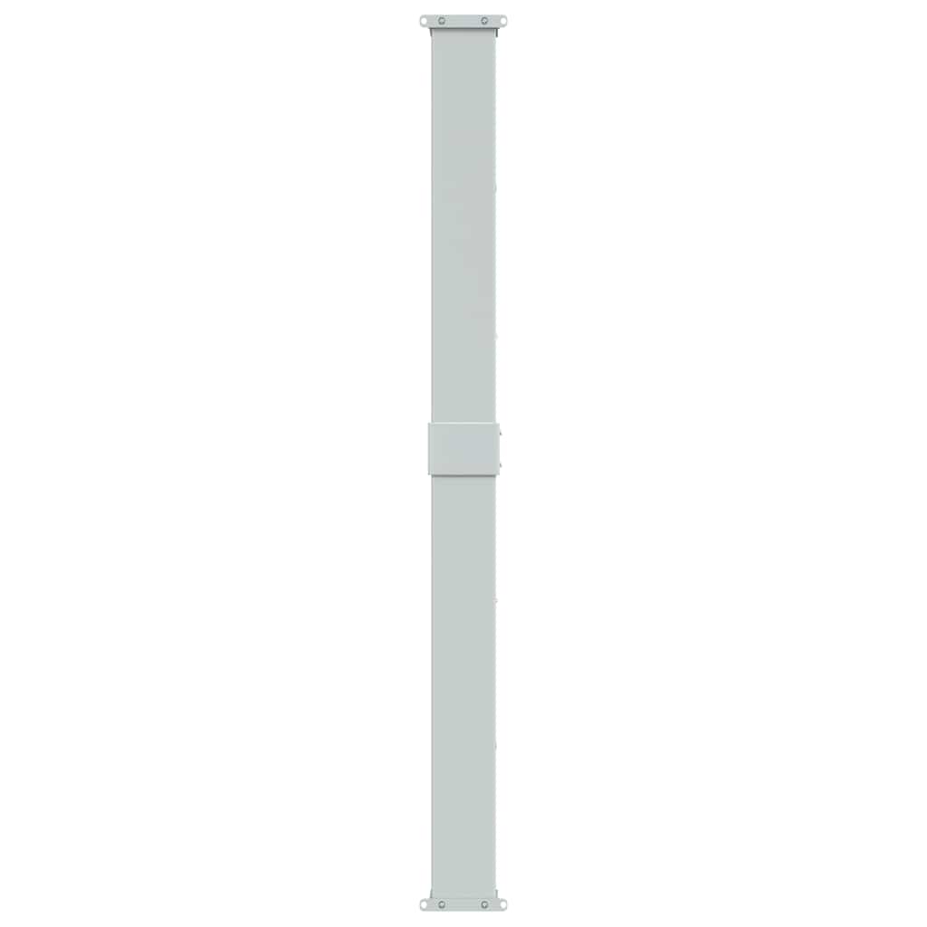 Ausziehbare Seitenmarkise 160x300 cm Grau