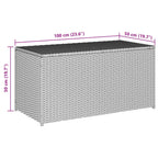 Gartenbox Poly Rattan 100x50x50 cm Grau