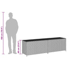 Gartenbox Poly Rattan 200x50x60 cm Grau