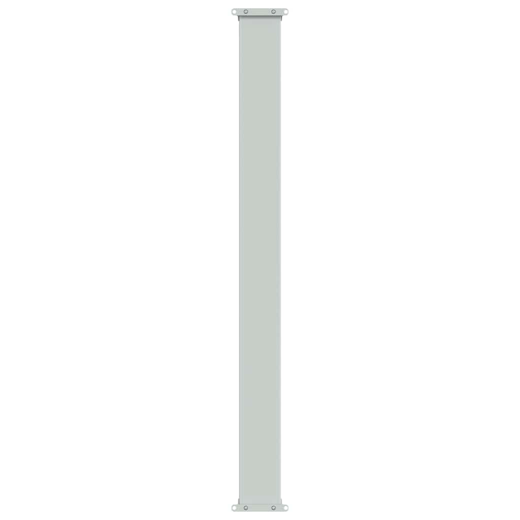 Ausziehbare Seitenmarkise 100×300 cm Schwarz