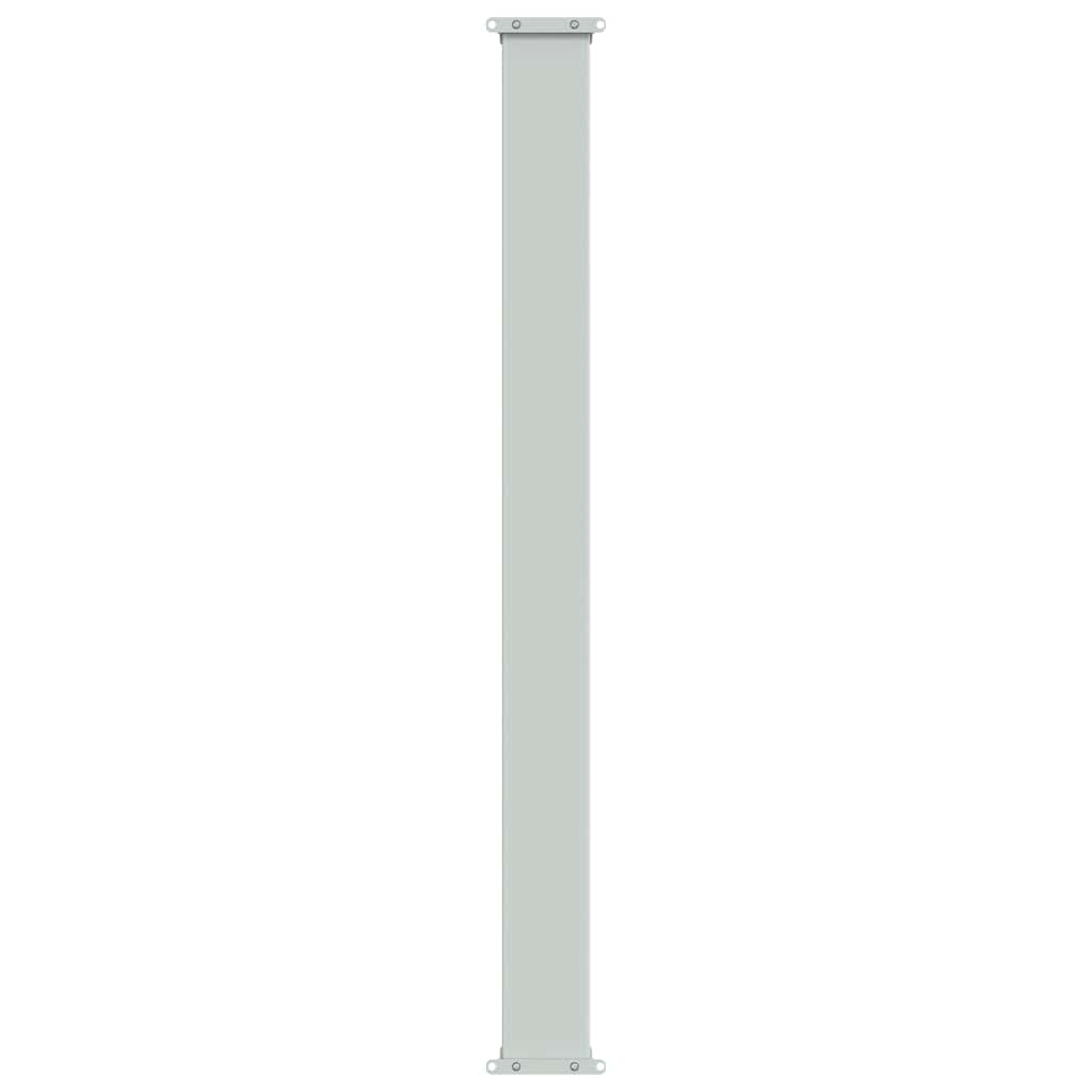 Ausziehbare Seitenmarkise 100x300 cm Braun