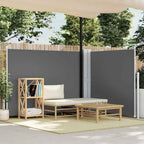 Ausziehbare Seitenmarkise Anthrazit 140 x 600 cm