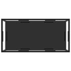 Couchtisch Transparent und Schwarz 100x50x35 cm Hartglas
