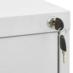 Aktenschrank Hellgrau 46x62x164 cm Stahl