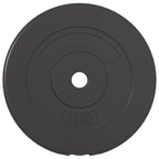 Hantelscheiben 4 Stk. 30 kg Zement