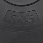 Hantelscheiben 4 Stk. 30 kg Zement