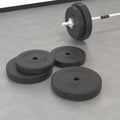Hantelscheiben 4 Stk. 30 kg Zement