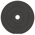 Hantelscheiben 6 Stk. 30 kg Zement