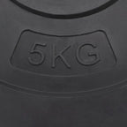 Hantelscheiben 6 Stk. 30 kg Zement