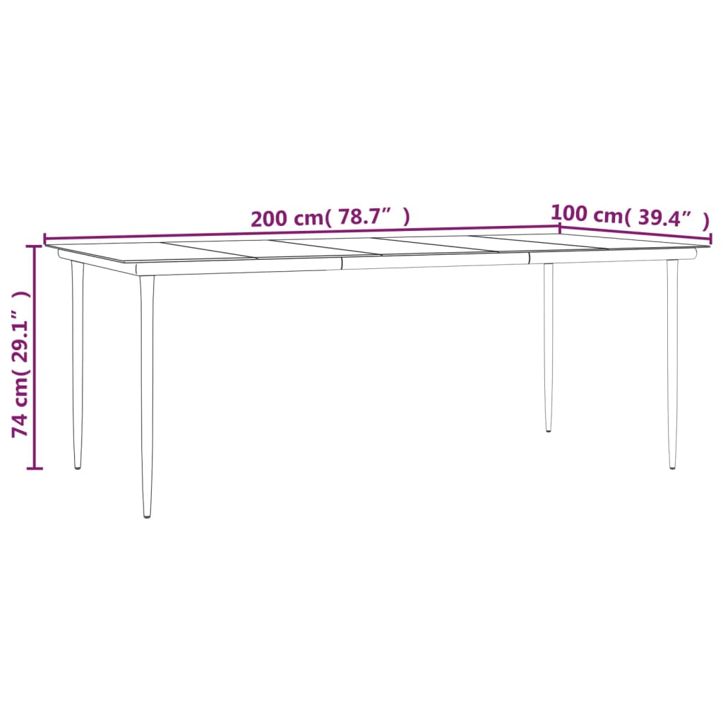 Garten-Esstisch Schwarz 200x100x74 cm Stahl und Hartglas