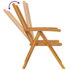 Garten Essgruppe 9 pcs Braun Massivholz Akazie