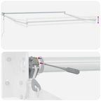 Markise Automatisch Braun 300x250 cm