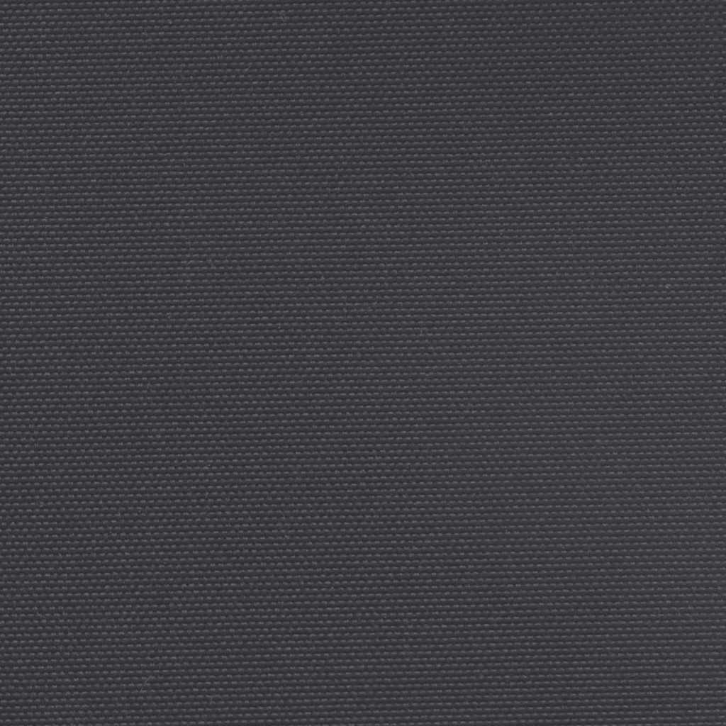 Seitenmarkise Ausziehbar Schwarz 200x300 cm