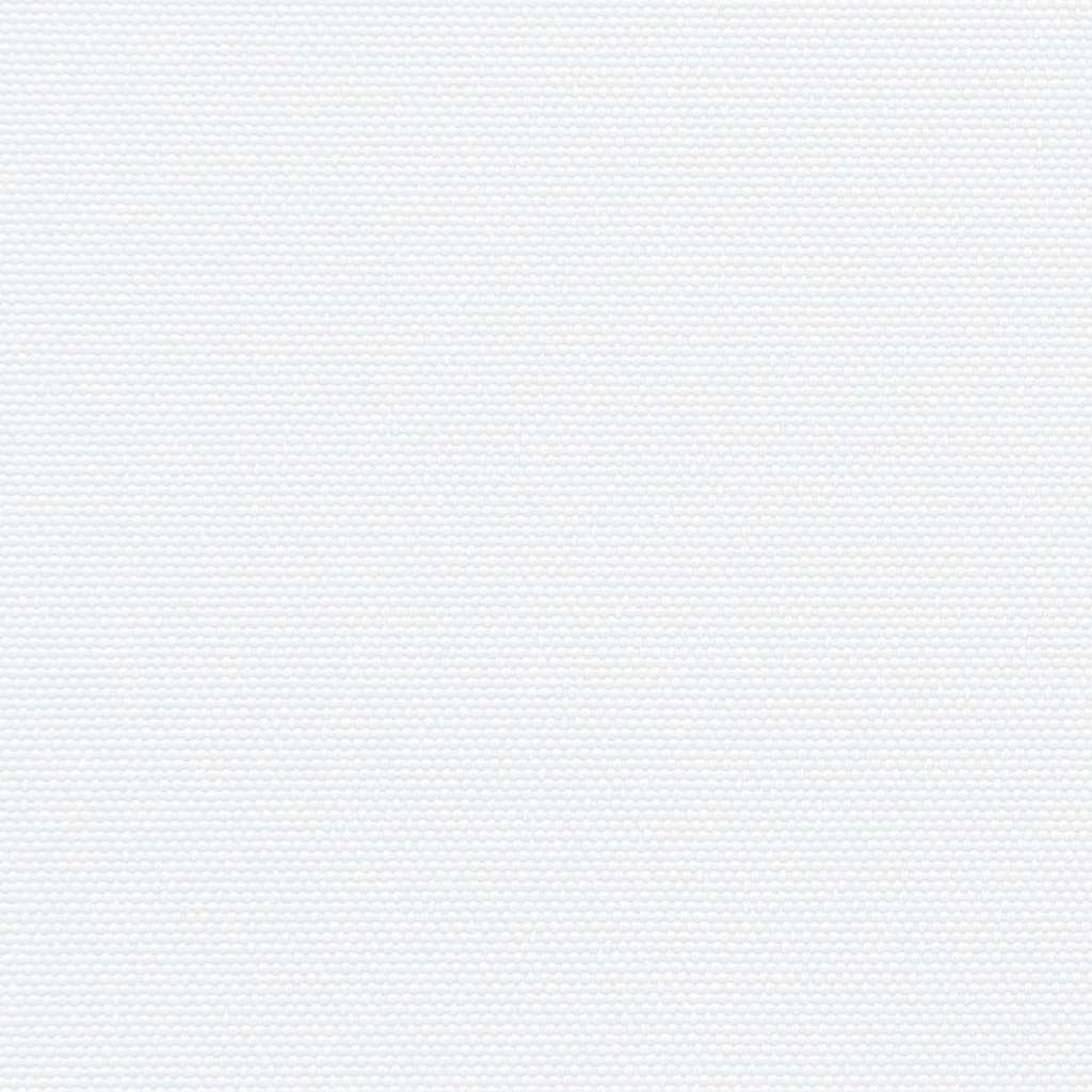Seitenmarkise Ausziehbar Weiß 200x300 cm
