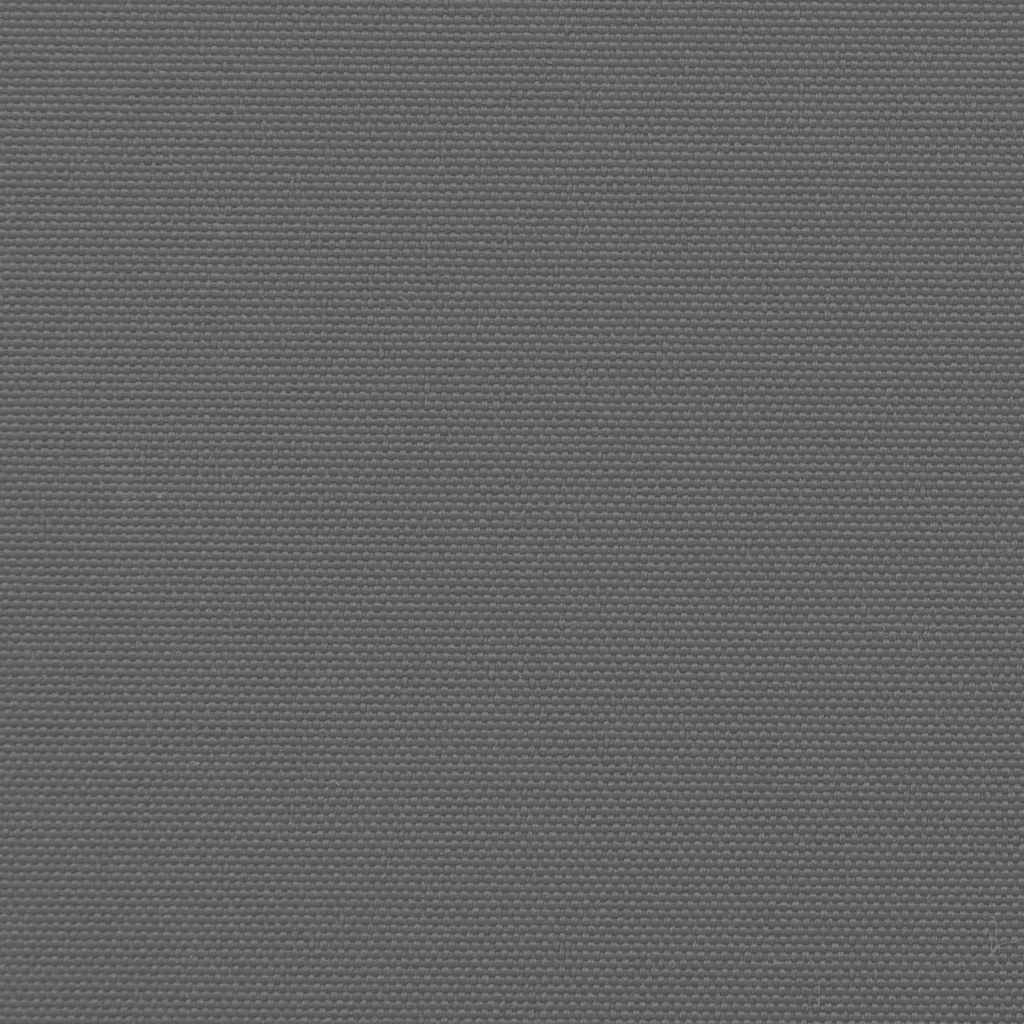 Ausziehbare Seitenmarkise Anthrazit 220x300 cm