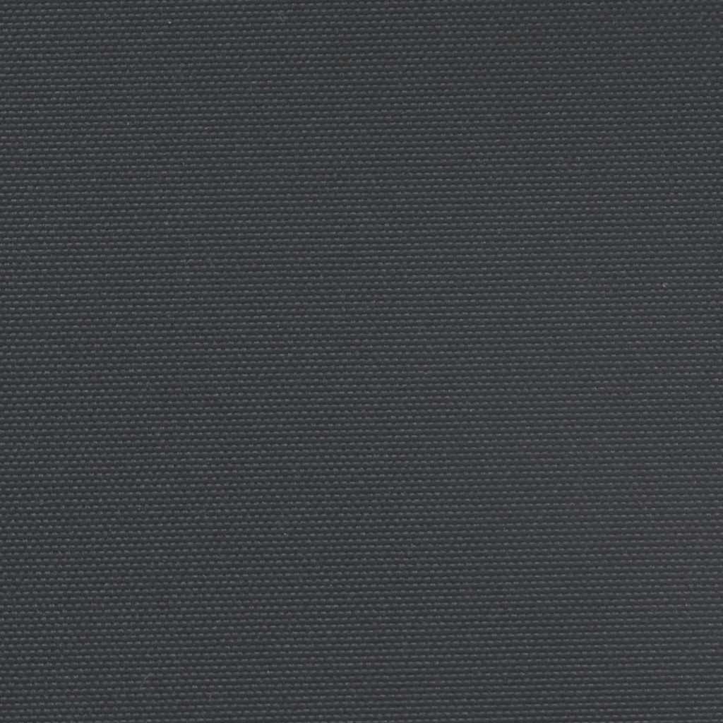 Seitenmarkise Ausziehbar Schwarz 160x500 cm