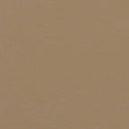 Seitenmarkise Ausziehbar Taupe 160x500 cm