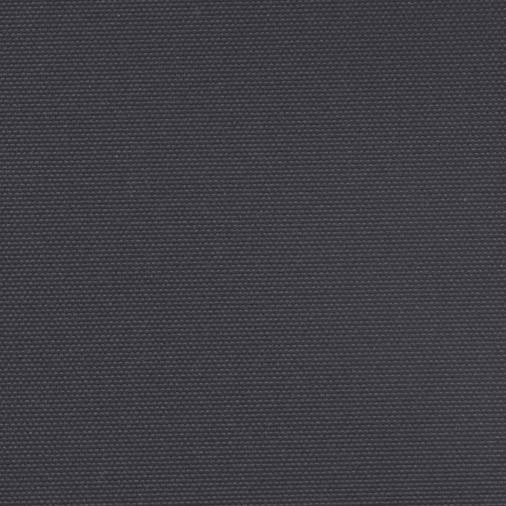 Seitenmarkise Ausziehbar Schwarz 180x500 cm