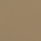 Seitenmarkise Ausziehbar Taupe 220x500 cm