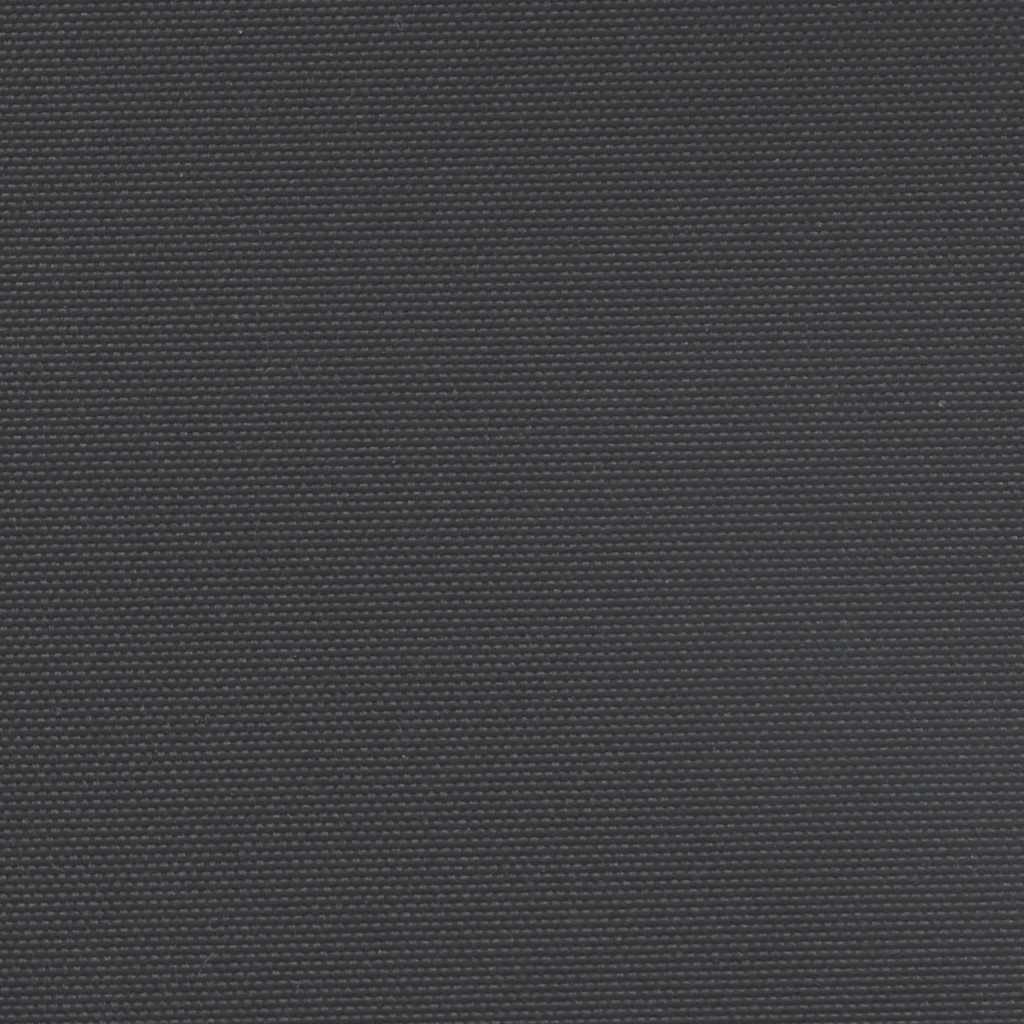 Seitenmarkise Ausziehbar Schwarz 220x600 cm