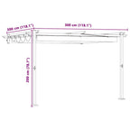 Pavillon 300 x 300 x 200 cm Anthrazit Polyester