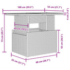 2-tlg. Garten-Sofagarnitur mit Kissen Schwarz Poly Rattan