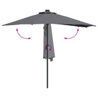 Garten-Sonnenschirm Anthrazit 294 x 150 x 223 cm
