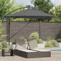 Sonnenschirm mit LED-Lichtleisten Anthrazit 294 x 294 x 248 cm