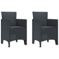 Gartenstuhl 2 pcs Anthrazit 53 x 49 x 85 cm Polypropylen