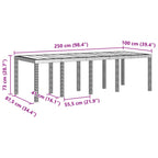 Gartentisch Anthrazit 250 x 100 x 73 cm Poly-Rattan