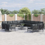 Gartensofa-set mit Kissen 13 pcs Schwarz Stahl