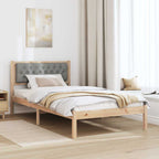 Bettrahmen Hellgrau 100 x 200 cm Massives Kiefernholz