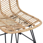 Esszimmerstuhl 2 pcs Rattan und Eisen Natur 44,5 x 54,5 x 85 cm
