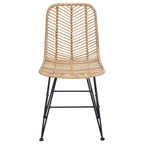 Esszimmerstuhl 2 pcs Rattan und Eisen Natur 44,5 x 54,5 x 85 cm