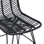 Esszimmerstuhl 2 pcs Rattan und Eisen Schwarz
