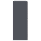 Aufbewahrungsschrank Anthrazit 90 x 40 x 105 cm Stahl
