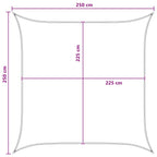 Sonnensegel Blau und Weiß 2,5 x 2,5 m HDPE