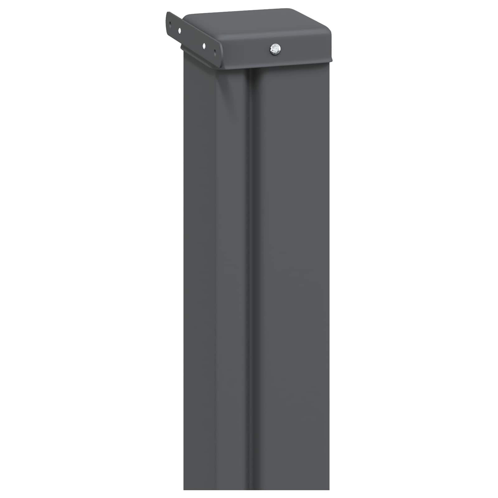 Ausziehbares Seitenmarkise 300 x 100 cm Polyester Rechtwinklig