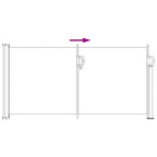 Ausziehbares Seitenmarkise 300 x 100 cm Polyester Rechtwinklig